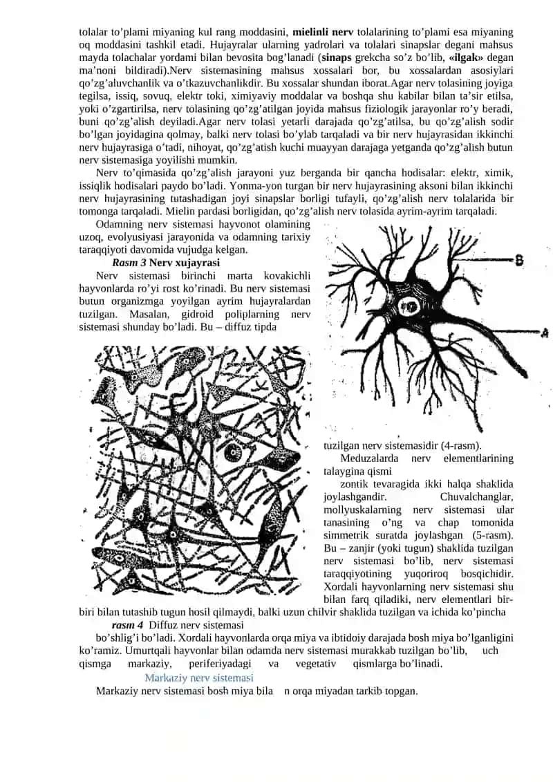 Xulq-atvorning psixofiziologik asosi 2
