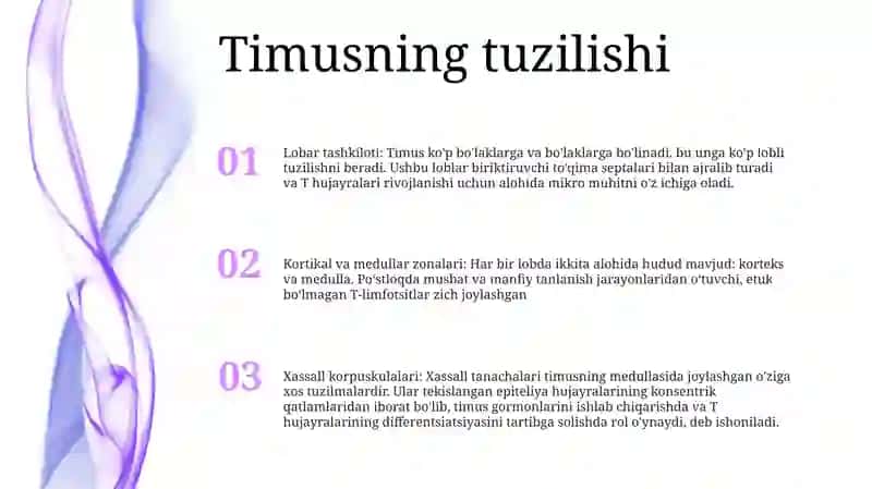 Timusdagi limfotsitlar tuzilishi 2