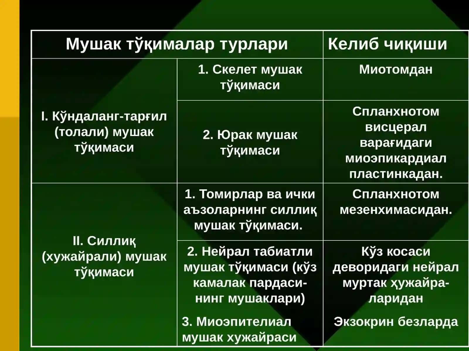 МУШАК ТЎҚИМАСИ 2