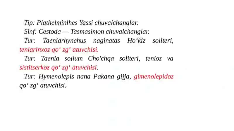 Tasmasimon chuvalchanglar–odam parazitlari 2