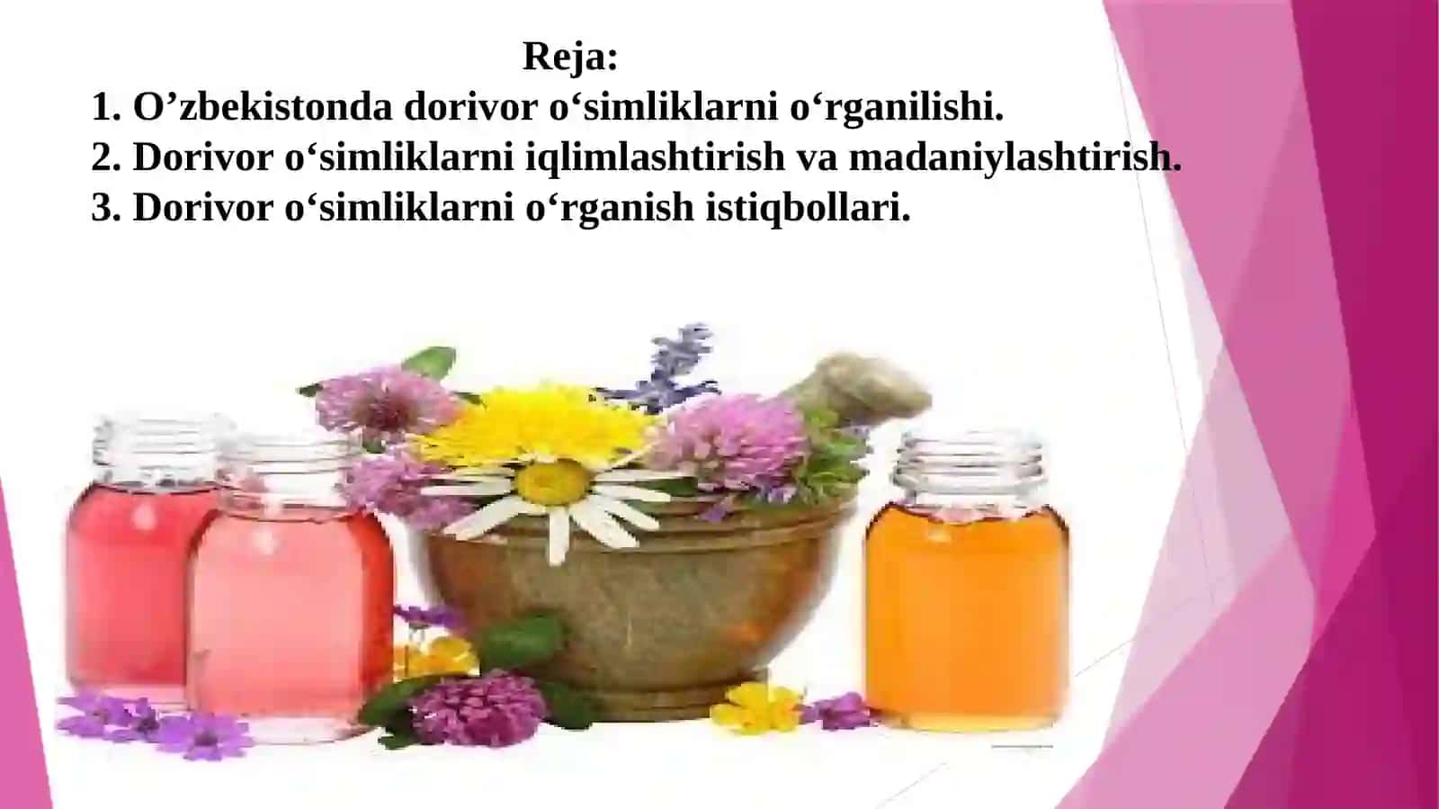O‘zbekiston florasi 2