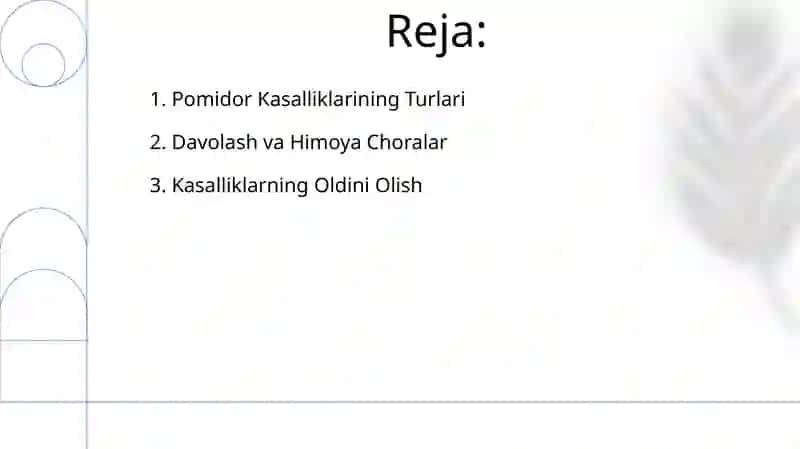Pamidor kasalliklari 2