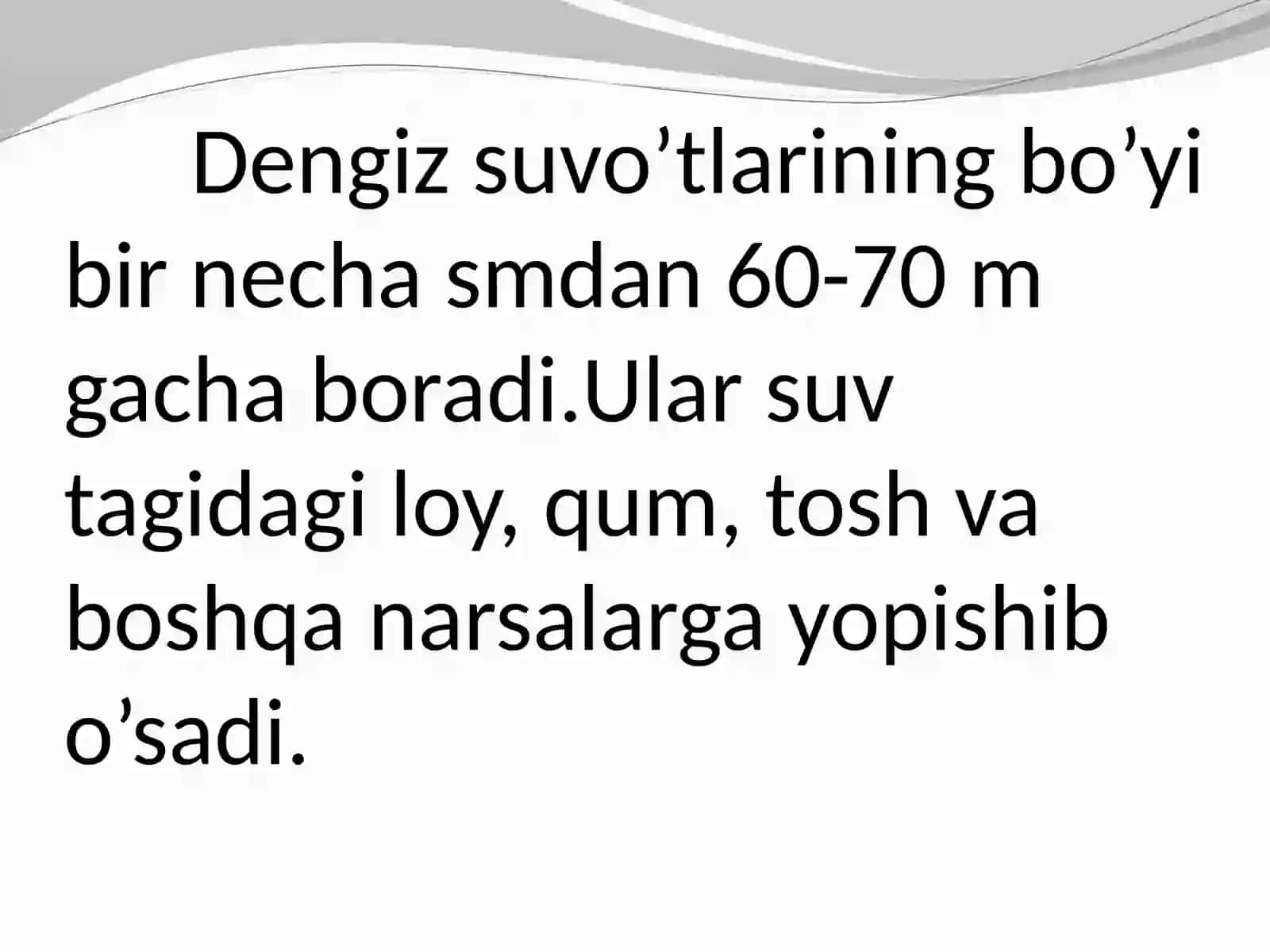 Dengizsuvo’tlari 2