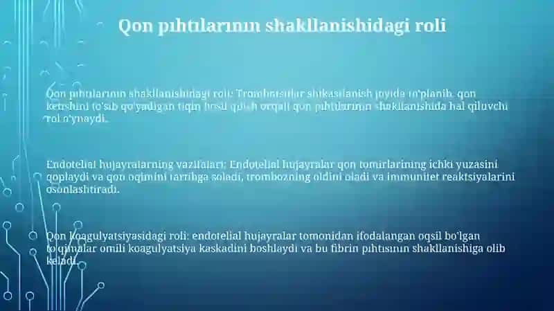 Qon Tomir Endoteliysining Funksiyalari 2