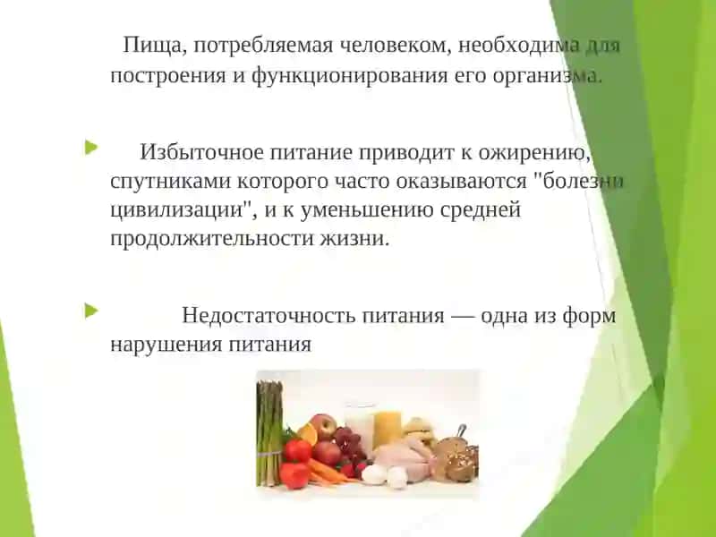 Рациональное питание и его значение для здоровья 2