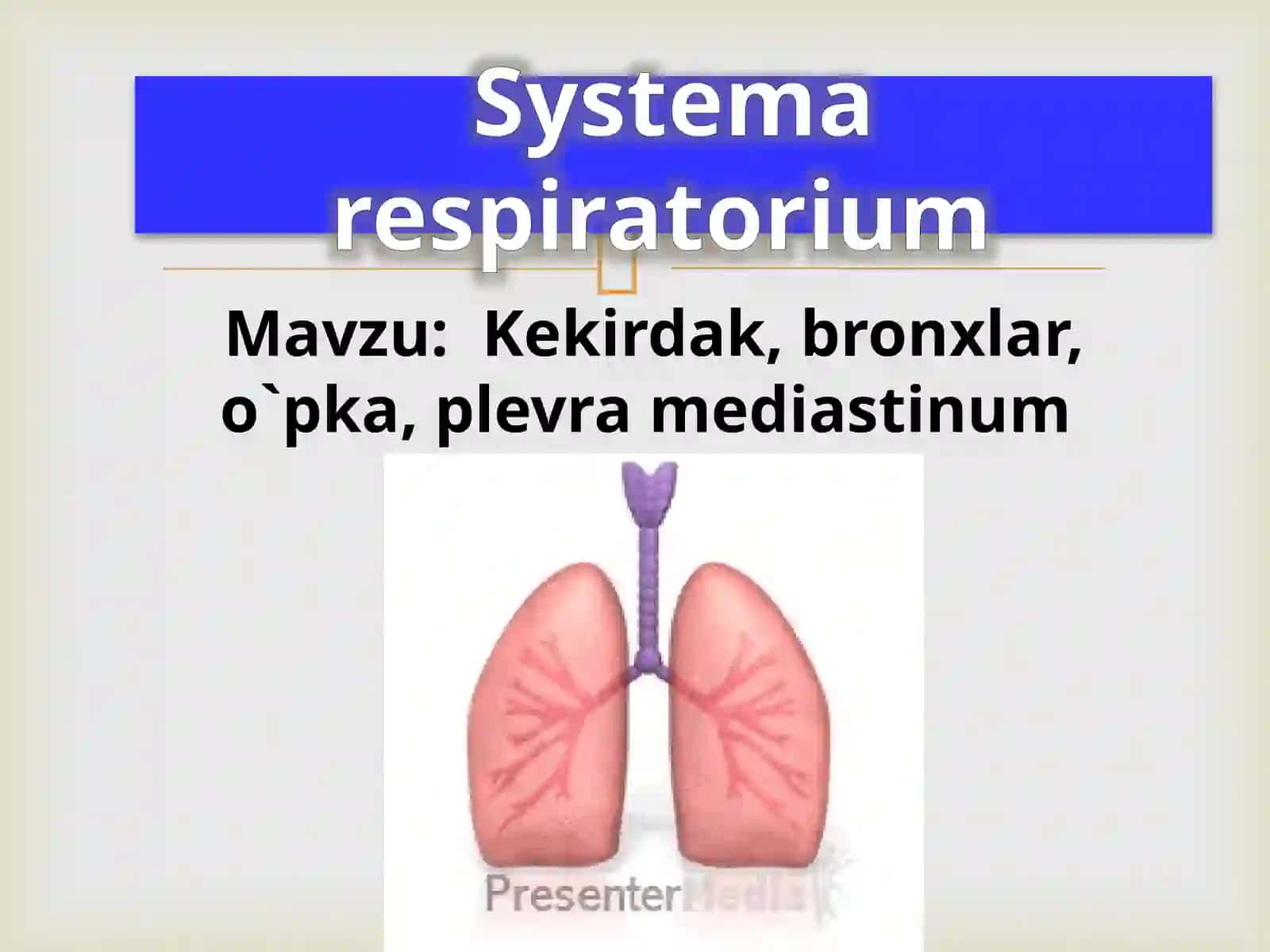 Medical leaders` club 2