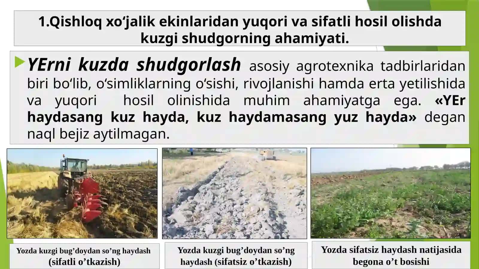 Kuzgi shudgorning ahamiyati 2