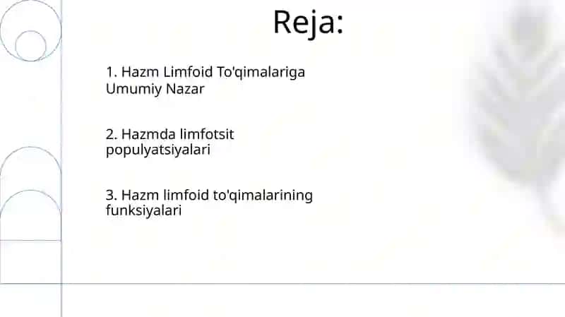 Hazm nayining limfoid tuzulmalari 2
