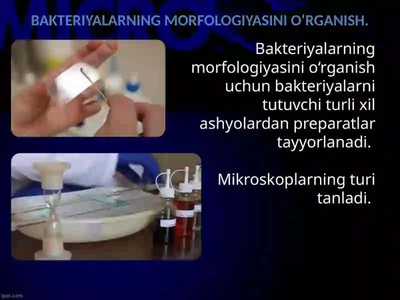 BAKTERIYALARNING MORFOLOGIYASINI O‘RGANISH 2