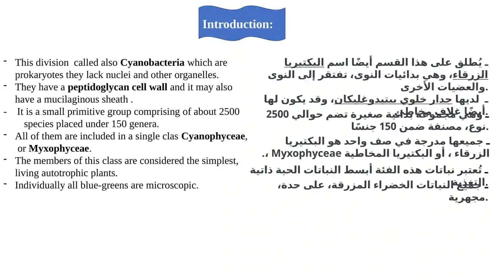 Cyanophyta (Blue –green algae) 2