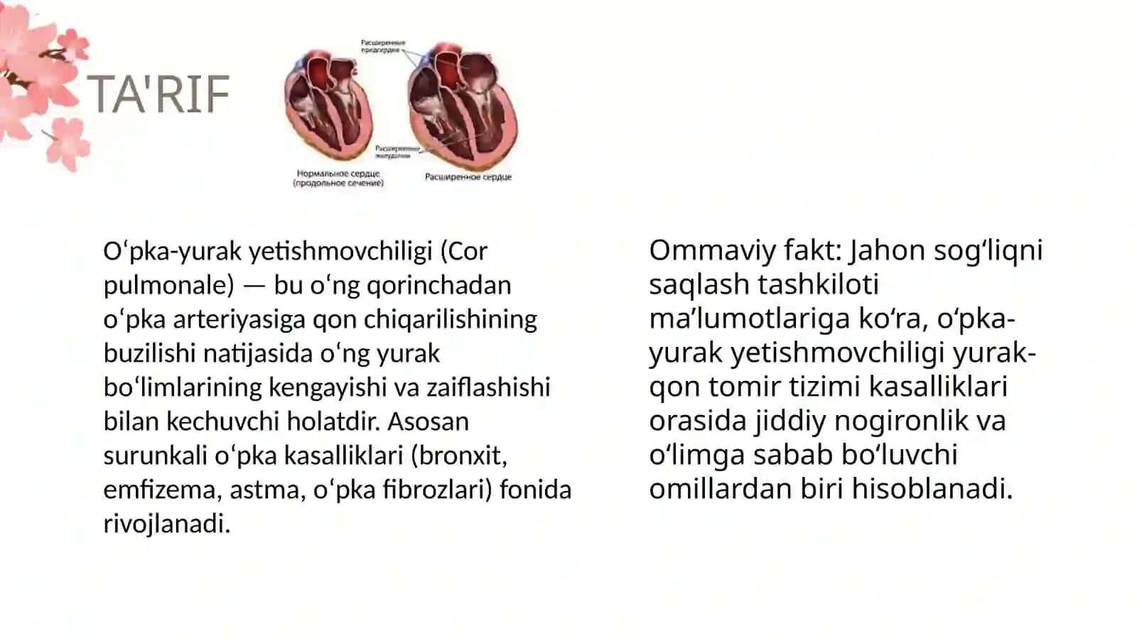 O'pka-yurak yetishmovchiligi (Cor pulmonale) 2