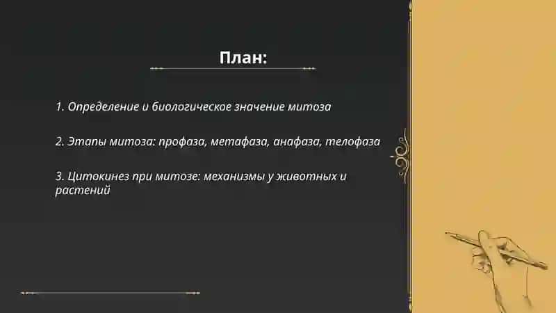Митоз и мейоз 2