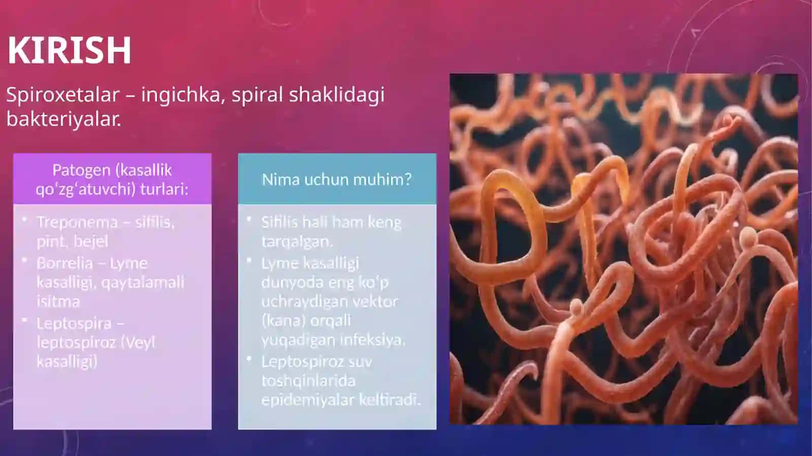 Patogen spiroxetalar 2