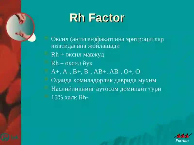 Rh Factor 2