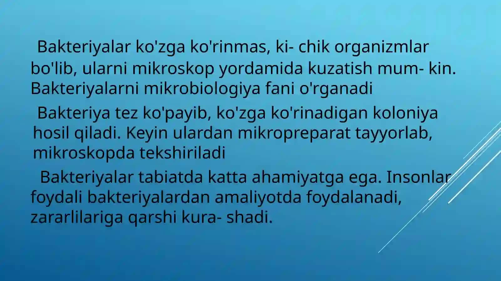 Bakteriyalar dunyosi 2