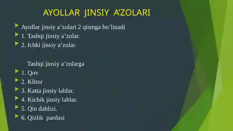 AYOLLAR JINSIY A'ZOLARI ANATOMIYASI 2