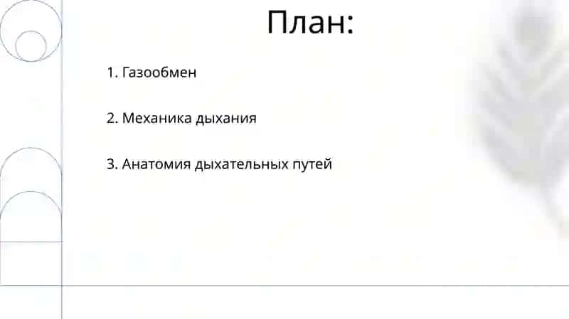 Система органов дыхания 2