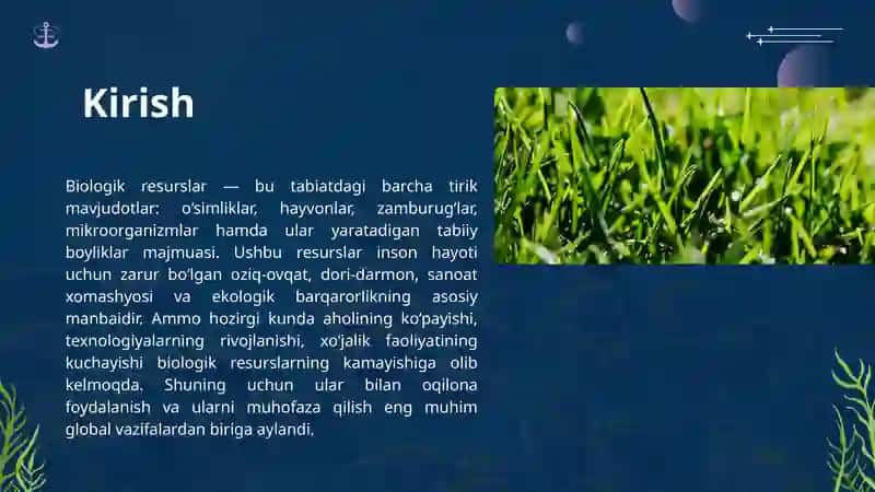 Biologik resurslar 2