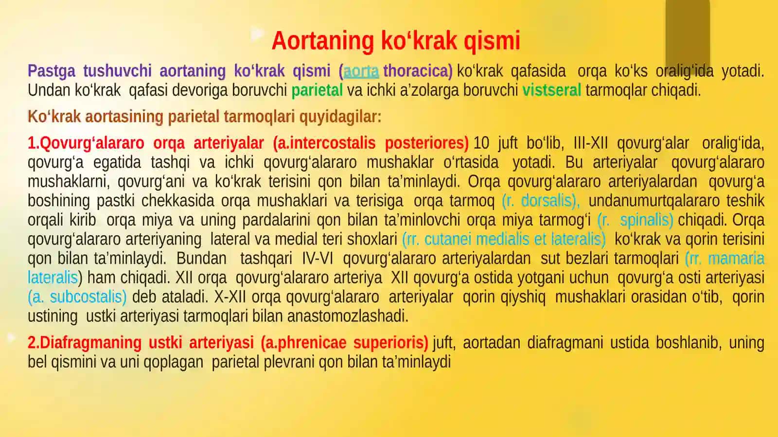 KOʻKRAK AORTASI VA QORIN AORTASI 2