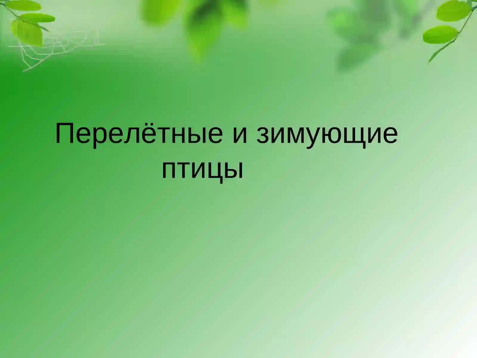 Интегрированный урок: письмо и развитие устной речи 2