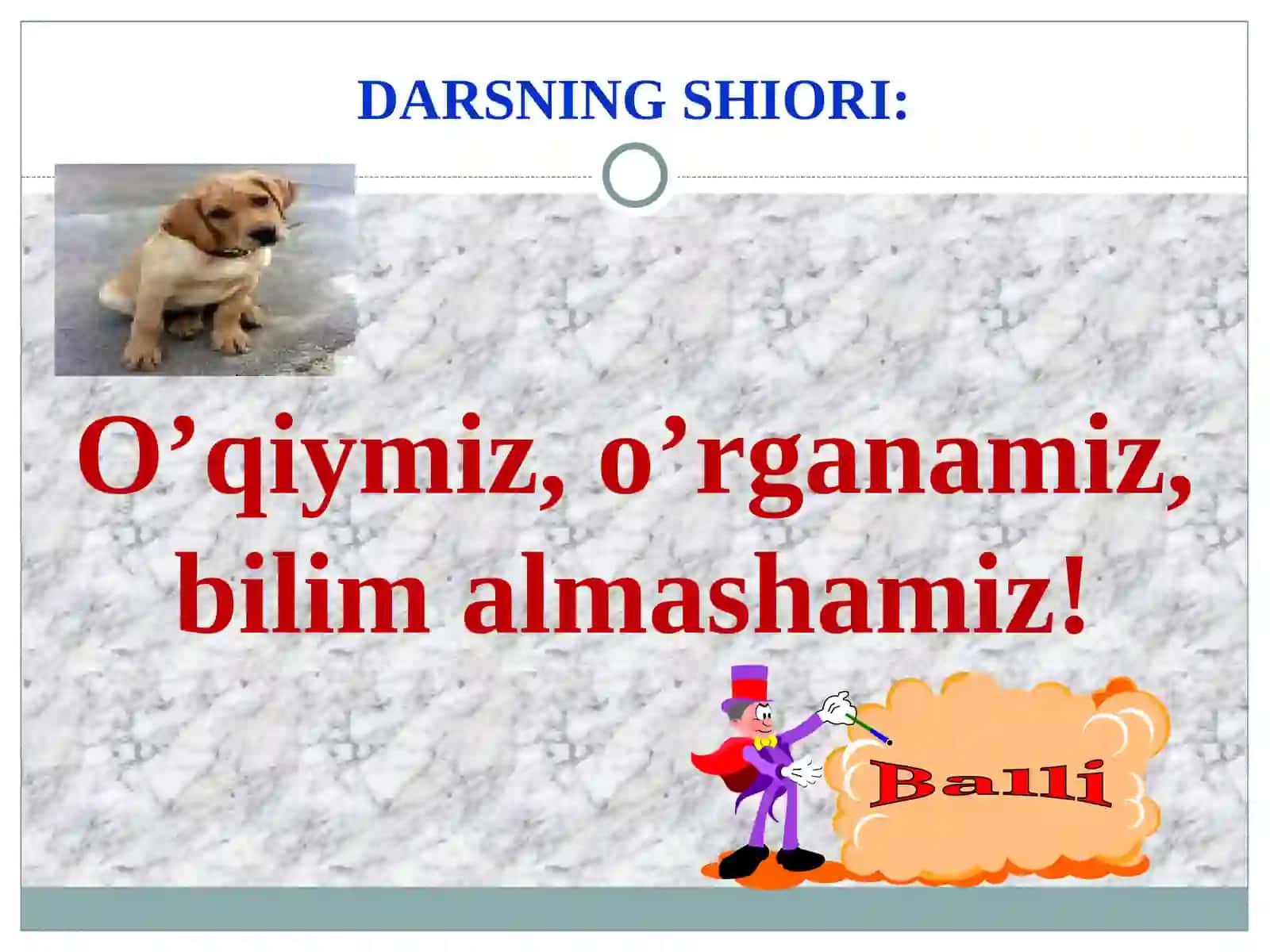 Itning ichki tuzulishi 2
