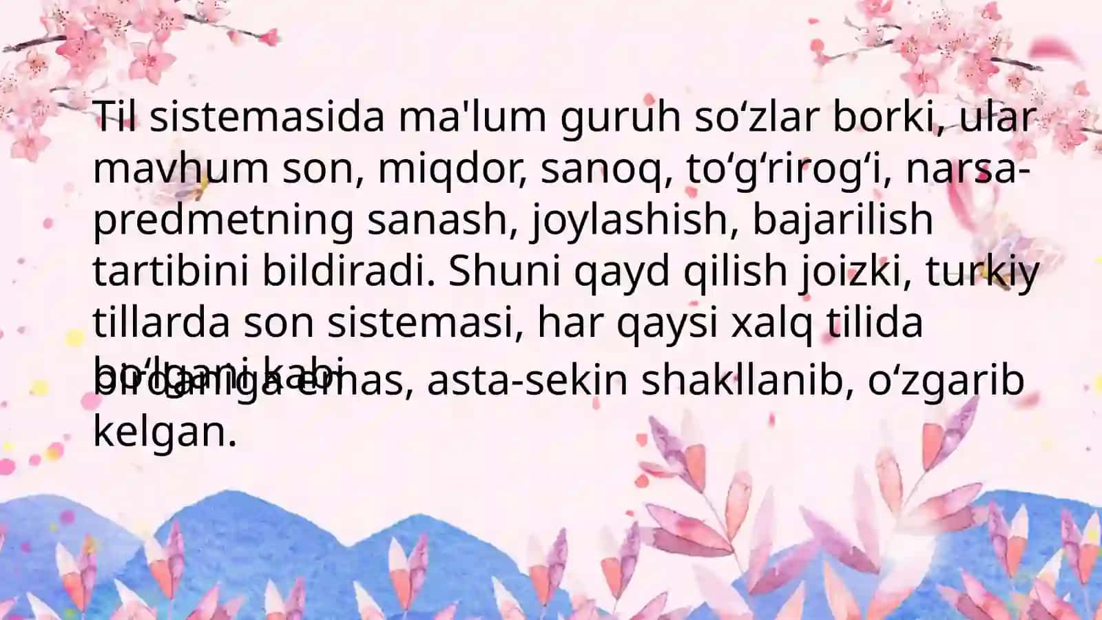 Son so‘z turkumi 2