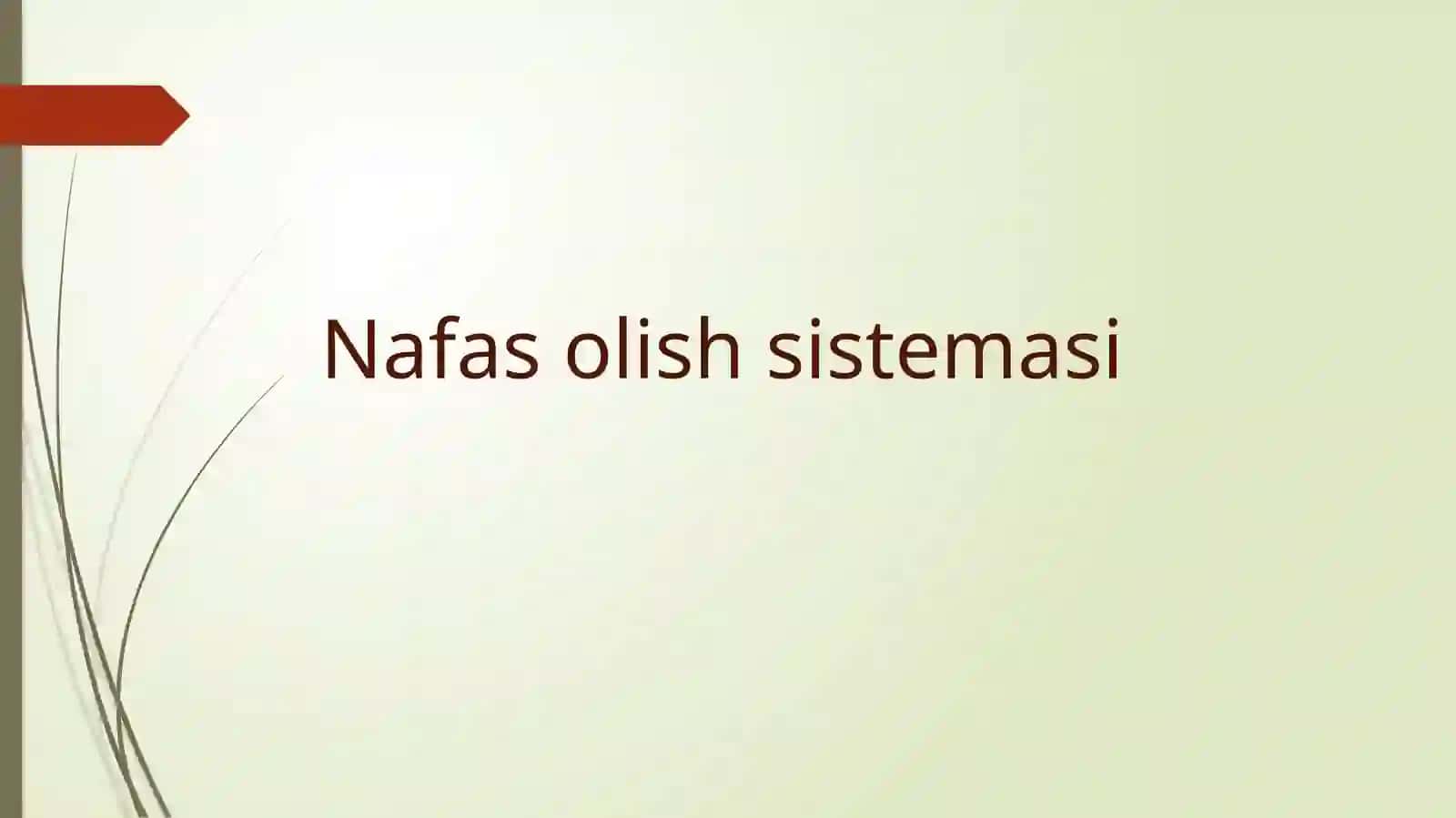 Nafasolishsistemasi 2