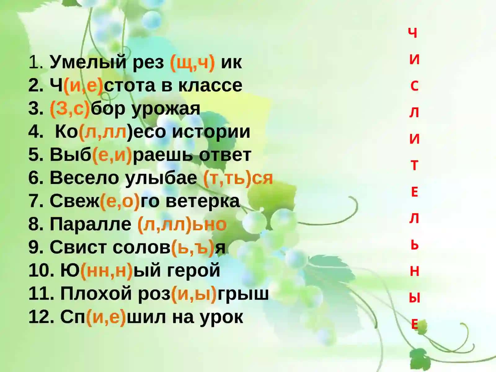 Урок русского языка в6 классе 2