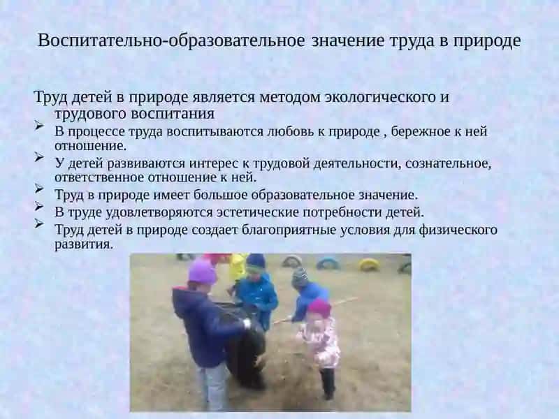 Труд в природе 2