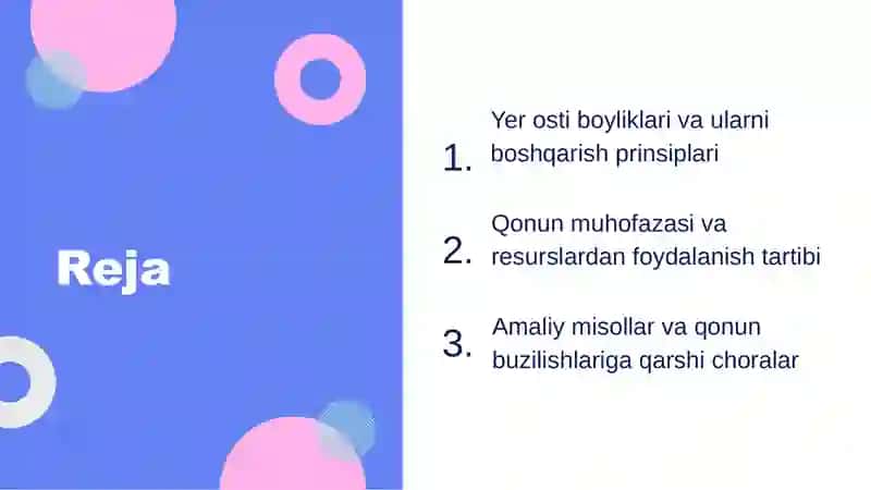 Yer osti boyliklari toʻgʻrisidagi qonun 2