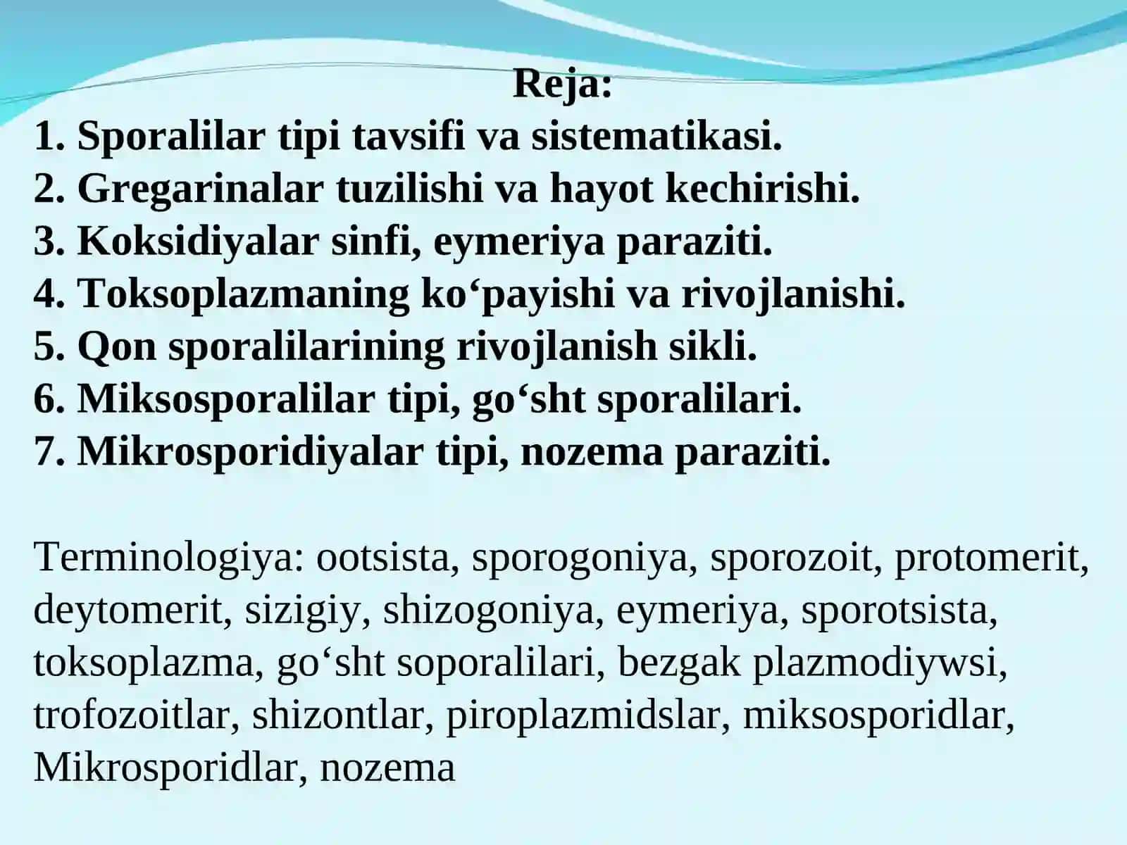 Sporalilar tipining umumiy tavsifi 2