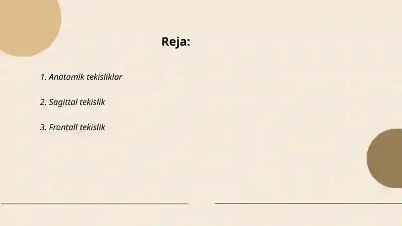 Anatomik tekisliklar 2