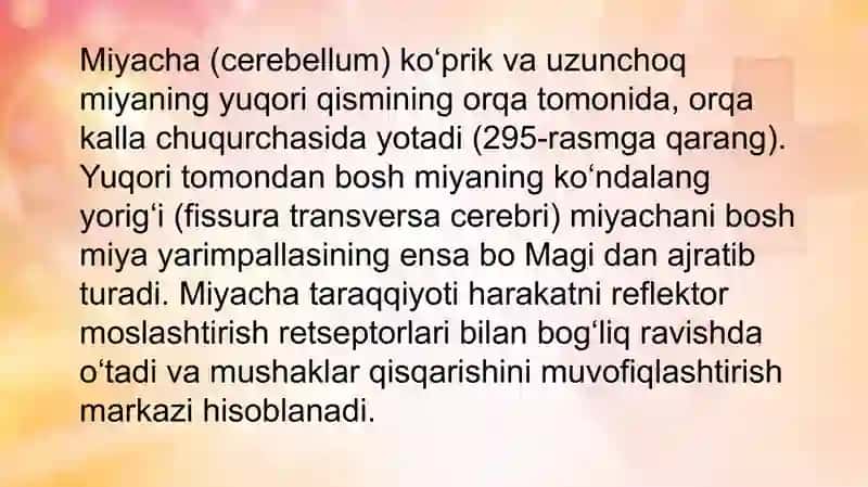 Miyacha (cerebellum) 2