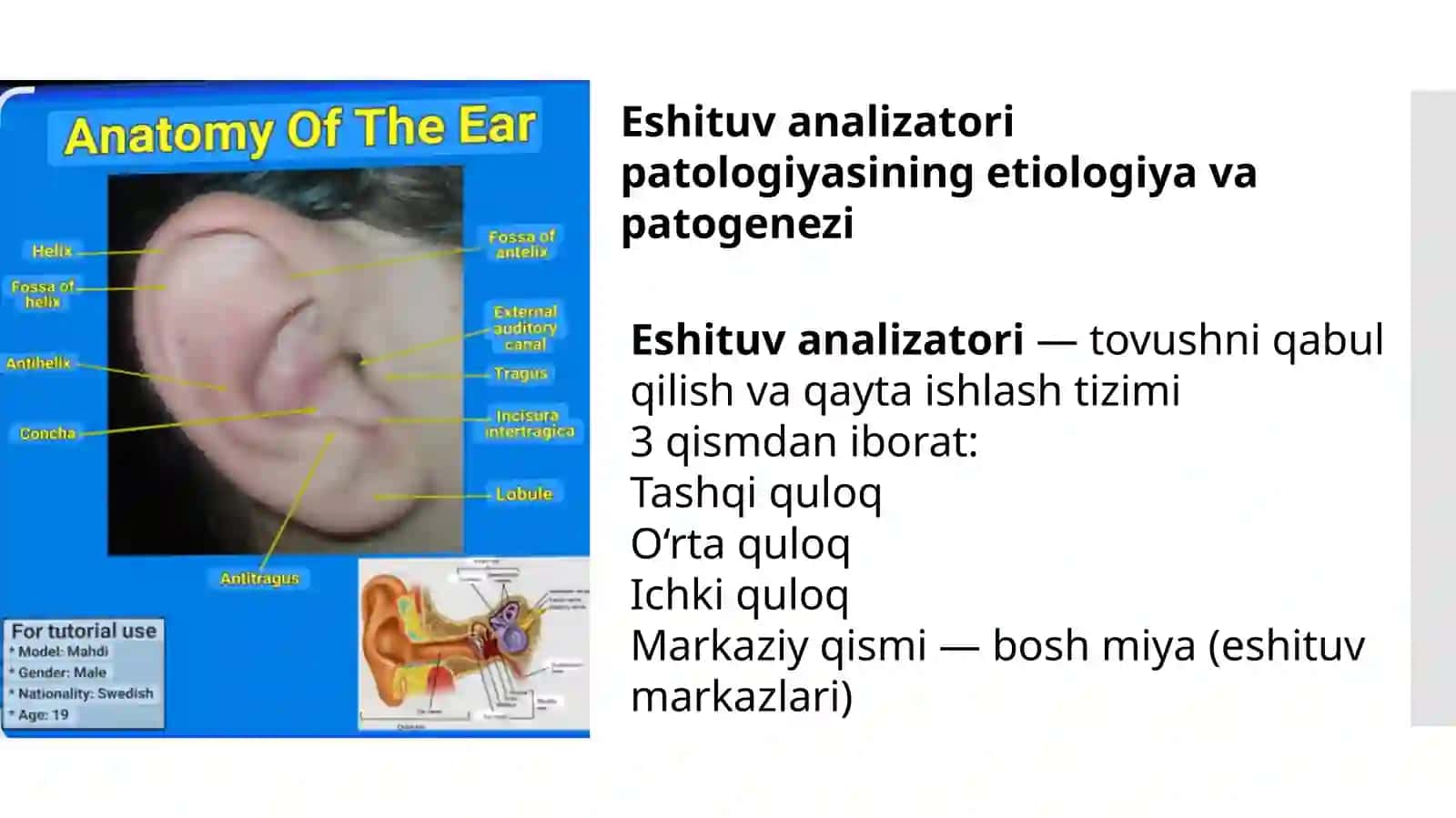 Eshituv analizatori patologiyasining etiologiya va patogenezi 2