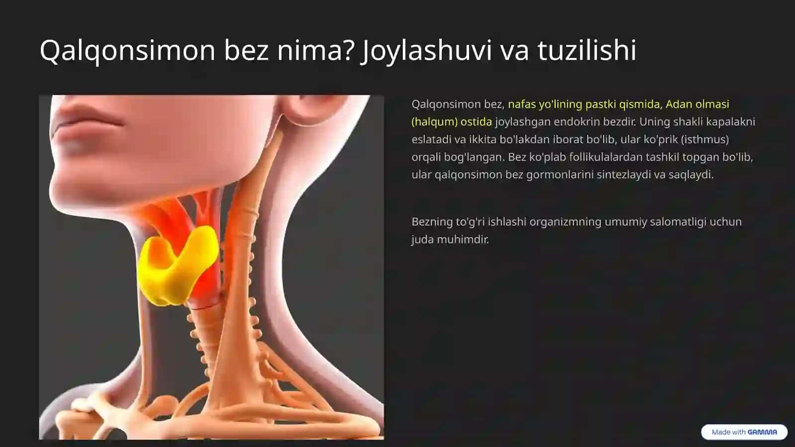 Qalqonsimon bez: Sirli bezning sirlari 2