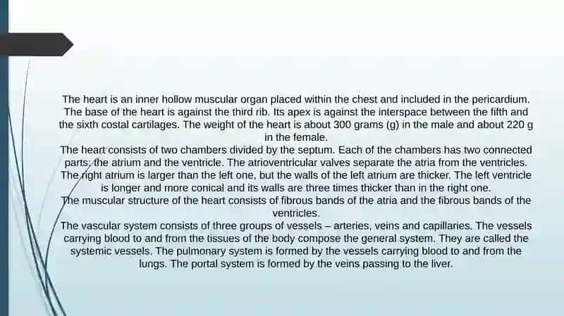 The heart and the vascular system 2