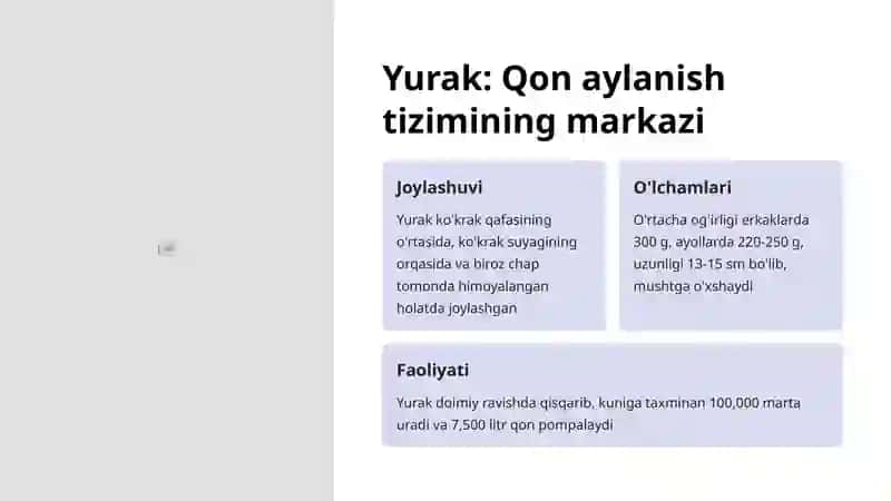 Yurakning tashqi va ichki tuzilishi 2