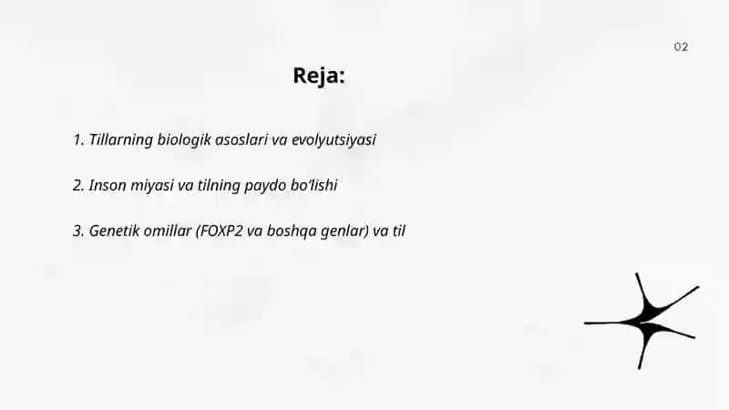 Tillarning paydo boʻlishi 2