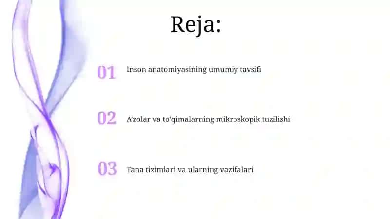 Odam anatomiyasi va unga tarif 2