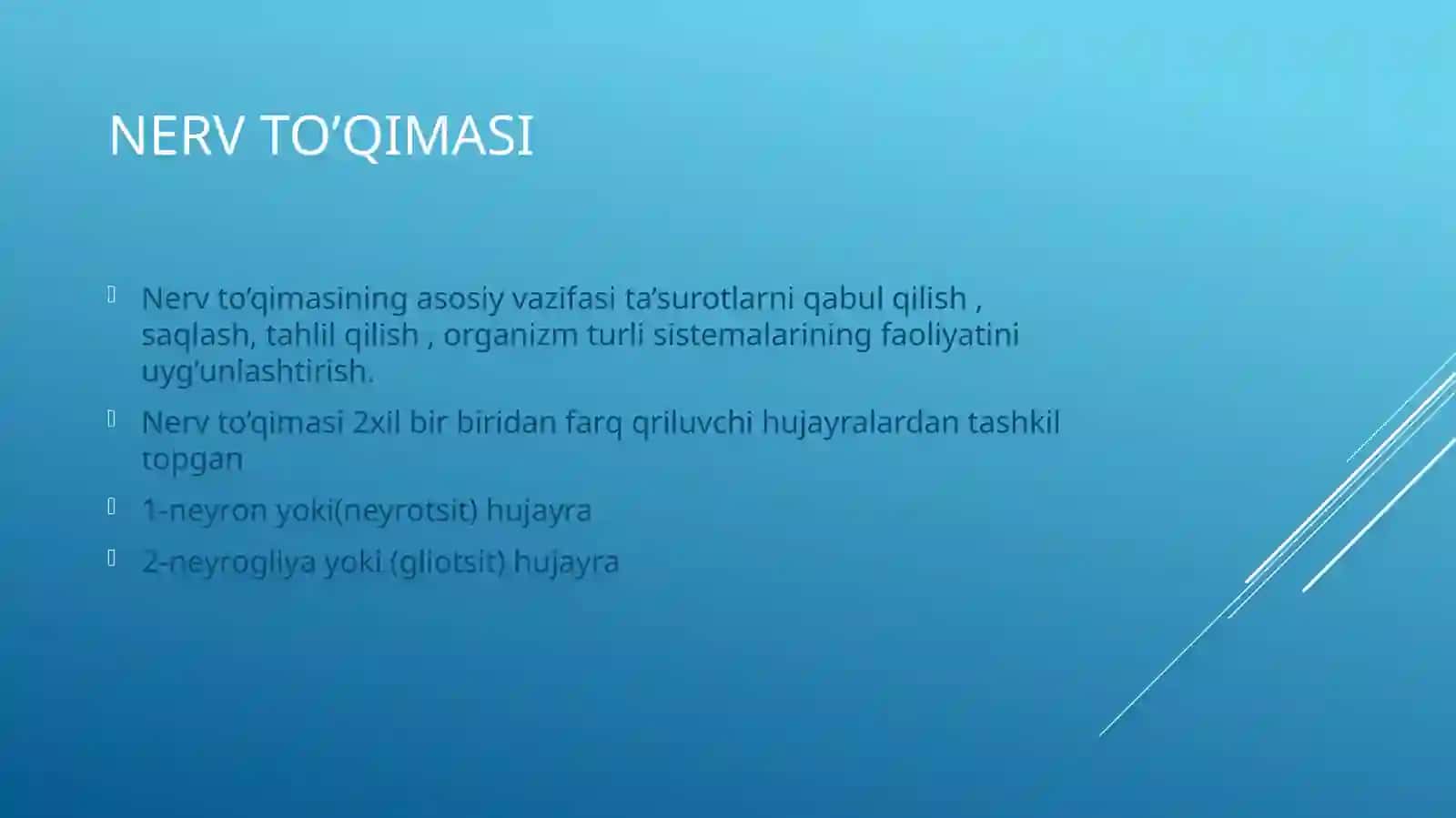 Nerv toʻqimasi 2