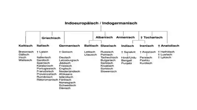 Verwandtschaftsbeziehungender germanischen Sprachen zum Indoeuropäischen 2