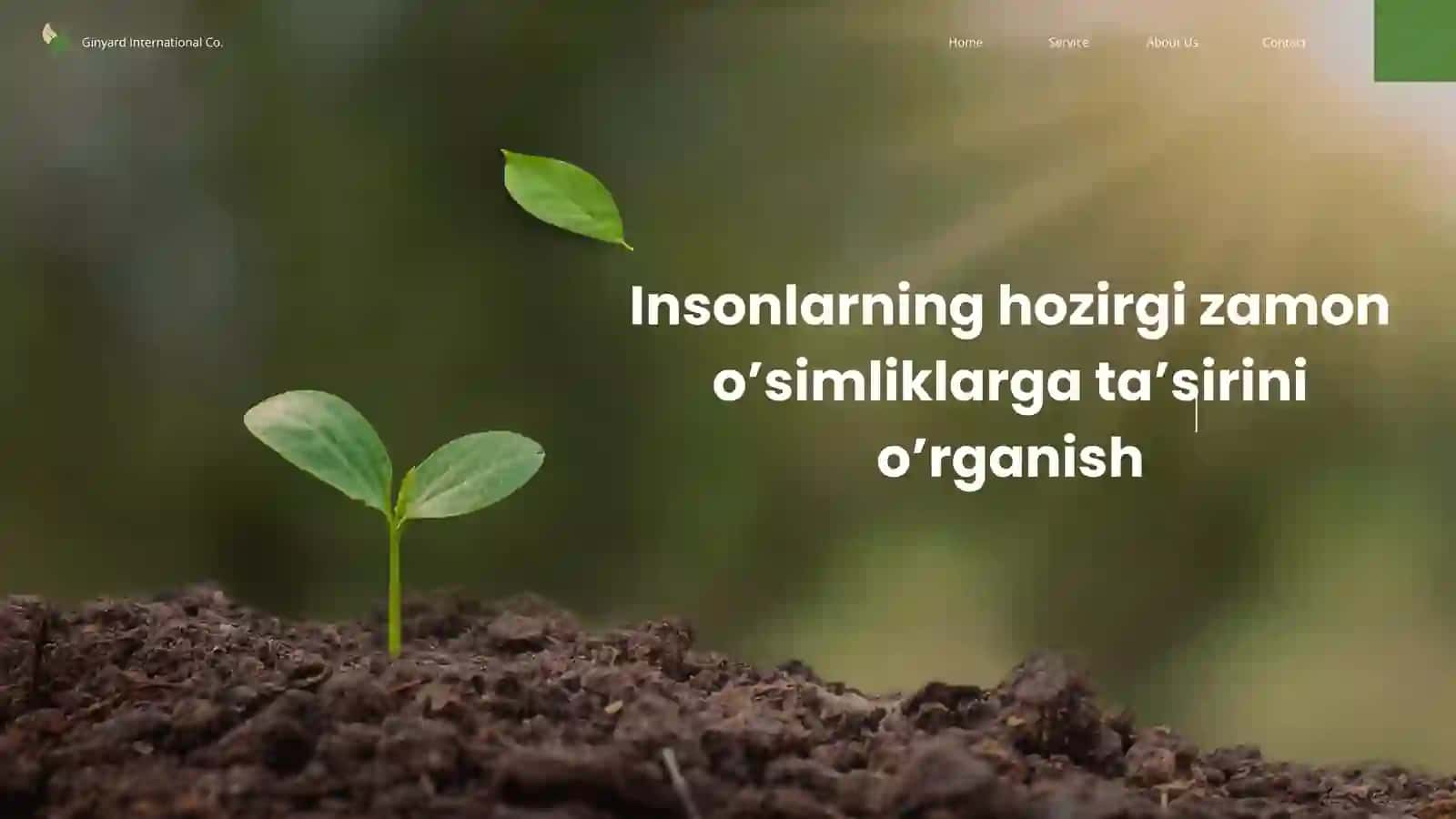 Hozirgi zamon insonlarni o‘simliklarga taʼsirini o‘rganish 2