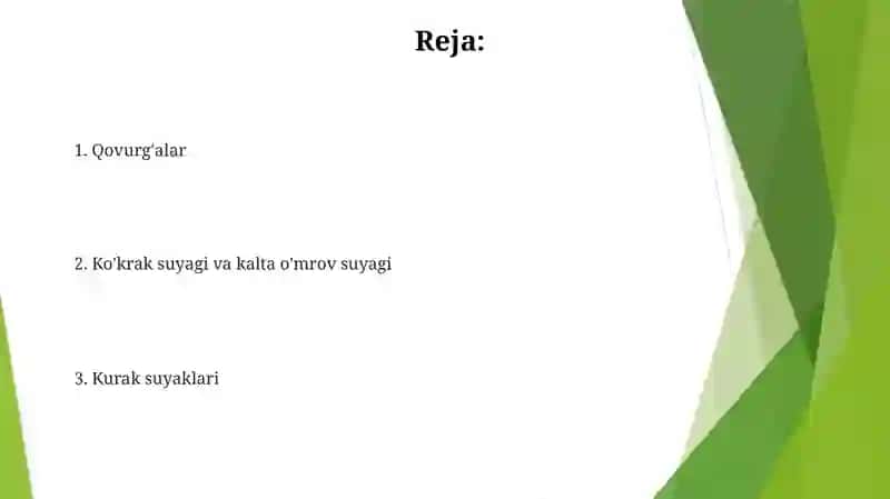 Qovurg'alar (Ribs) 2