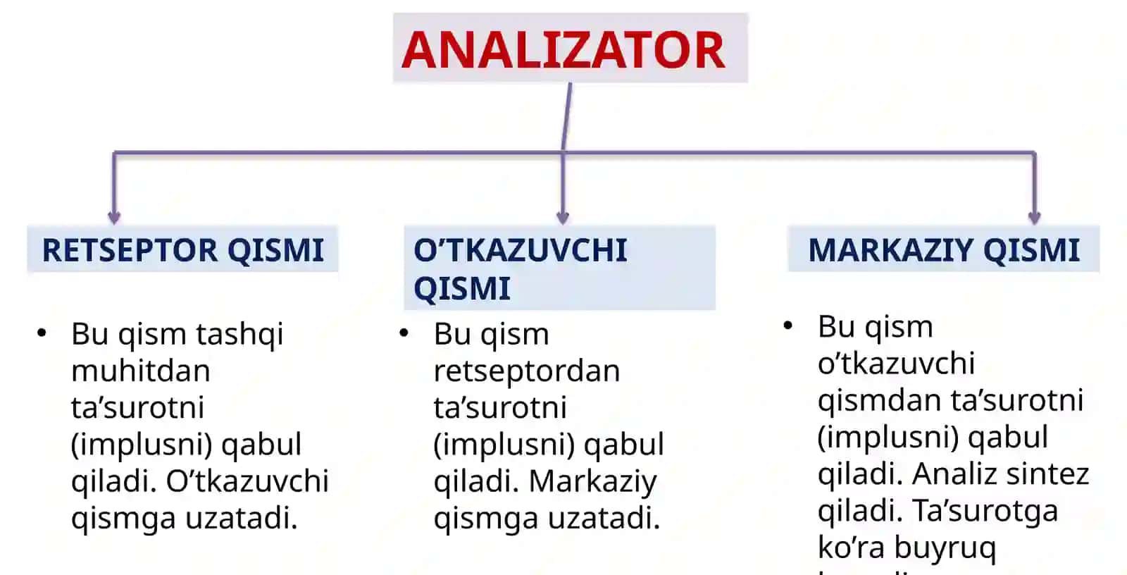 KO’RISH VA ESHITISH ANALIZATORI 2