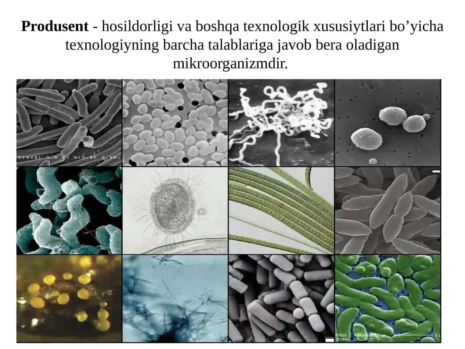 Produsentlar yaratish usullari. Mikroorganizmlarni saqlash 2
