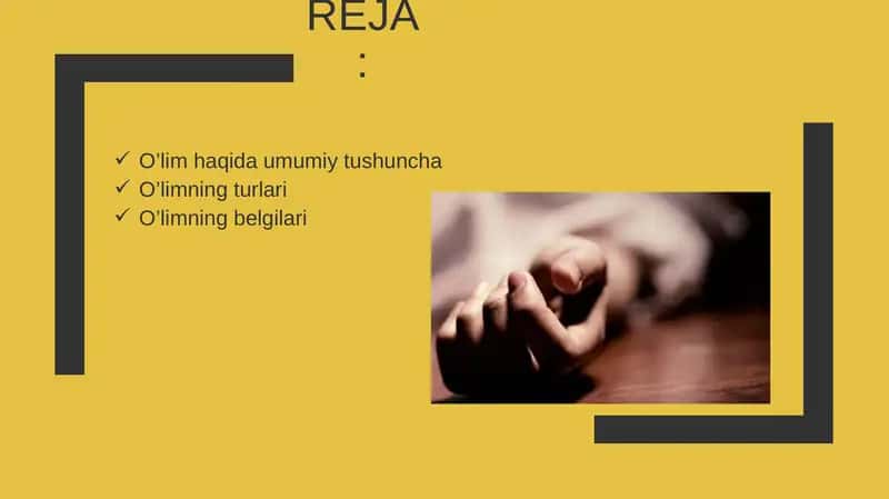 Oʻlim haqida tushuncha 2