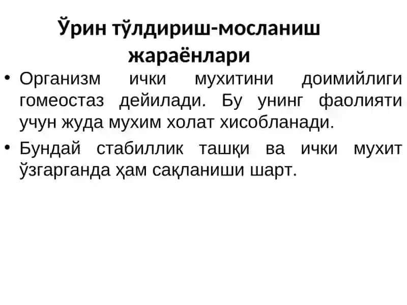 Ўрин тўлдириш-мосланиш жараёнлари 2