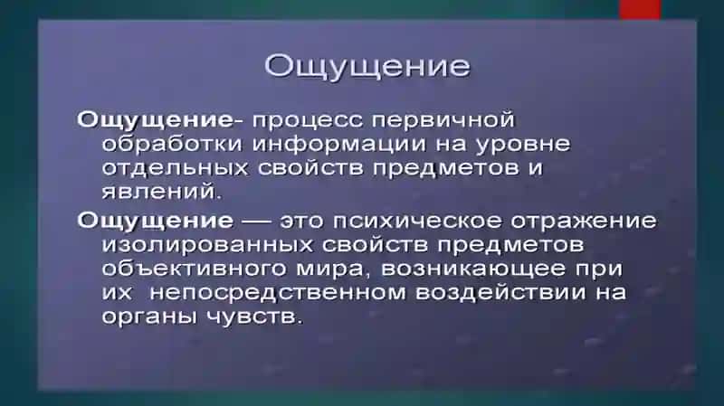 Лекция Ощущение и восприятие 2