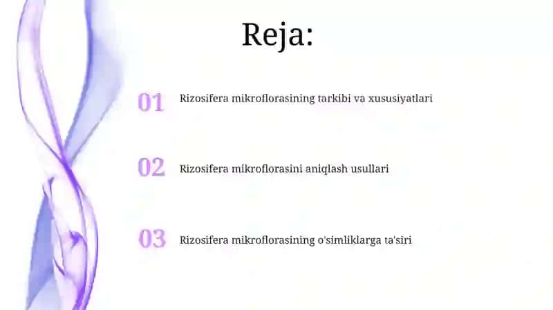 Rizosfera mikroflorasini aniqlash 2