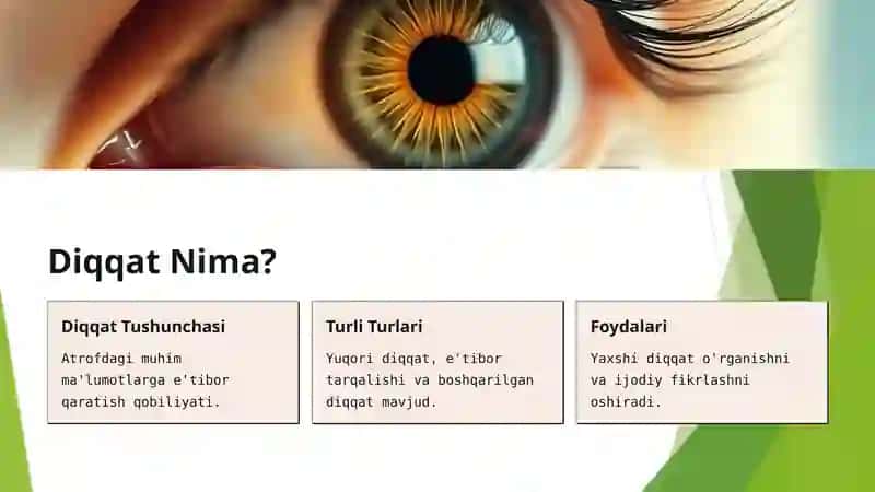 Diqqat va Tafakkur: Asosiy Ko'nikmalar 2